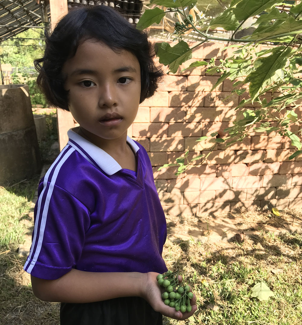 February 2020 Newsletter February 2020 Newsletter